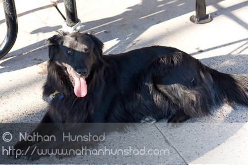 Grand_Avenue_2008-08-24_IMG_1511